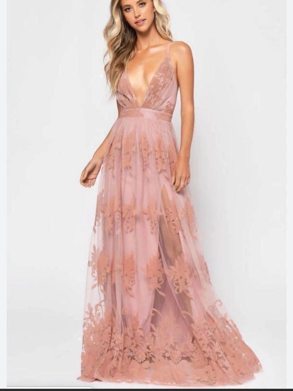 Luxxel Blush Floral Flocked Mesh Lace Appliqué Plunge Maxi Dress